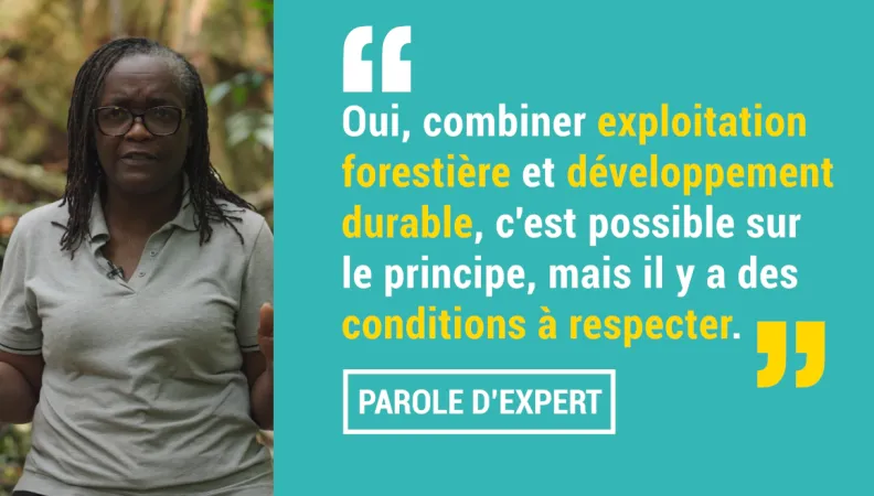 Marthe Mapangou : “combiner exploitation forestière et développement durable, c'est possible"